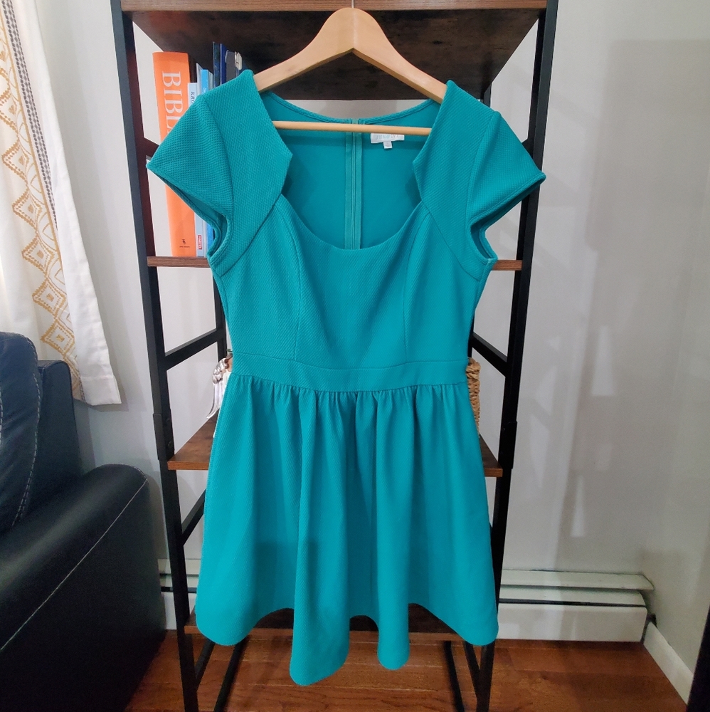 Francesca's JUN&IVY dress